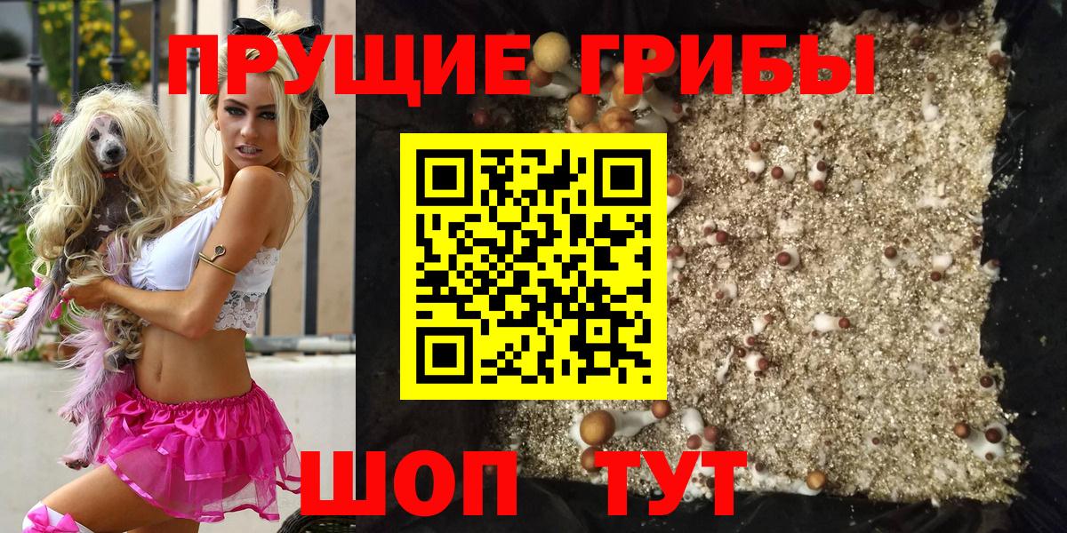 цены наркотик  Псилоцибиновые грибы мицелий  Галлюциногенные грибы мицелий  Вход с VPN  Верхний Уфалей 